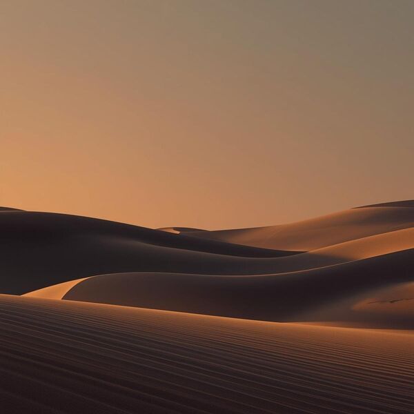 Cover art for Desert Nights