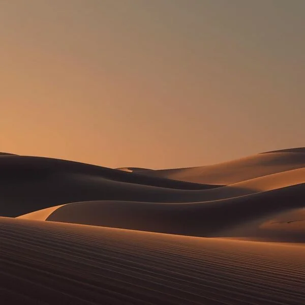 Cover art for Desert Nights